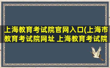 上海教育考试院官网入口(上海市教育考试院网址 上海教育考试院官网入口)